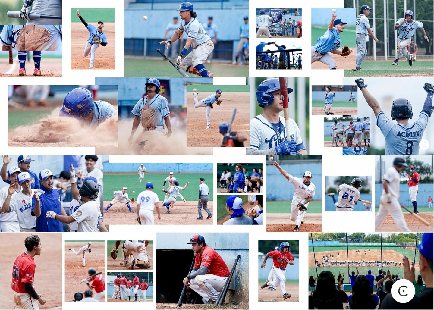 Taça Brasil Brasil de Beisebol 2025